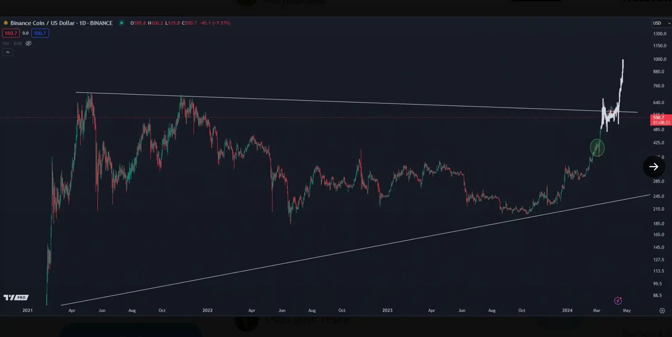 BNB to survive this crypto crash 