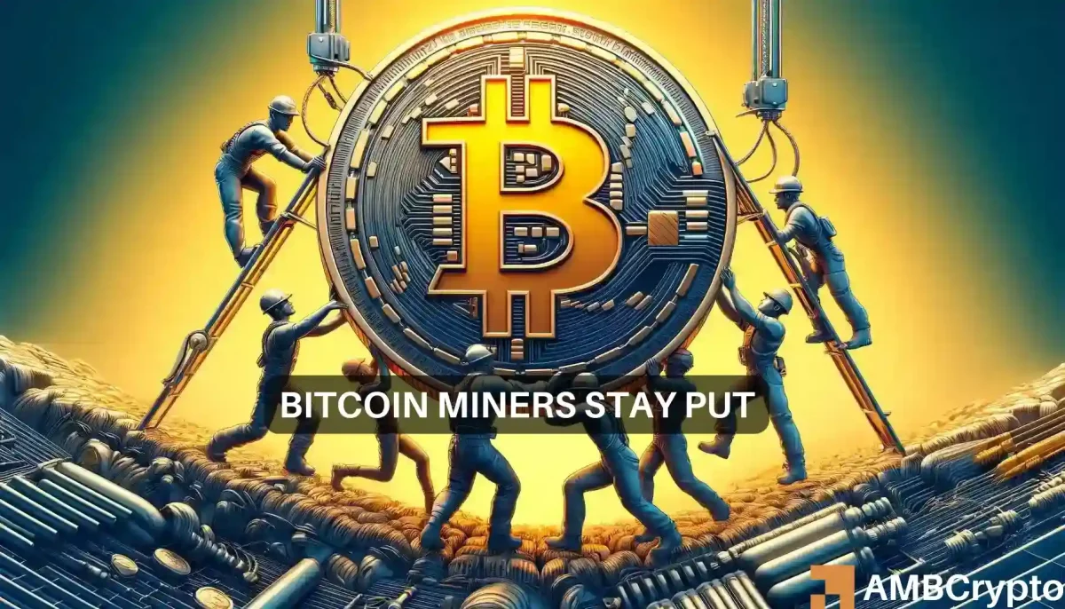 Bitcoin miner hold