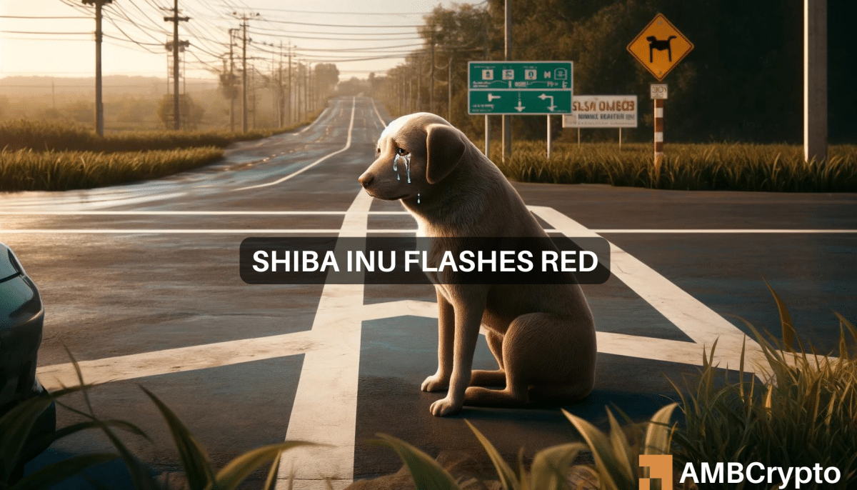 Shiba Inu: Key indicator shows concerning signs, what now?