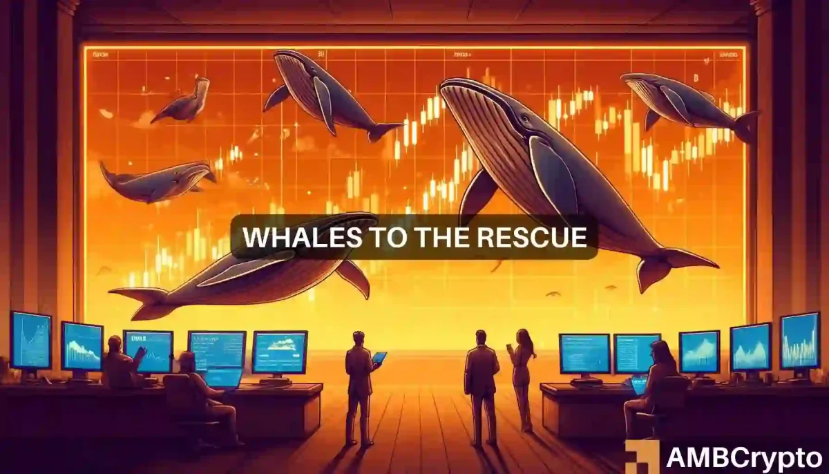 Bitcoin whales