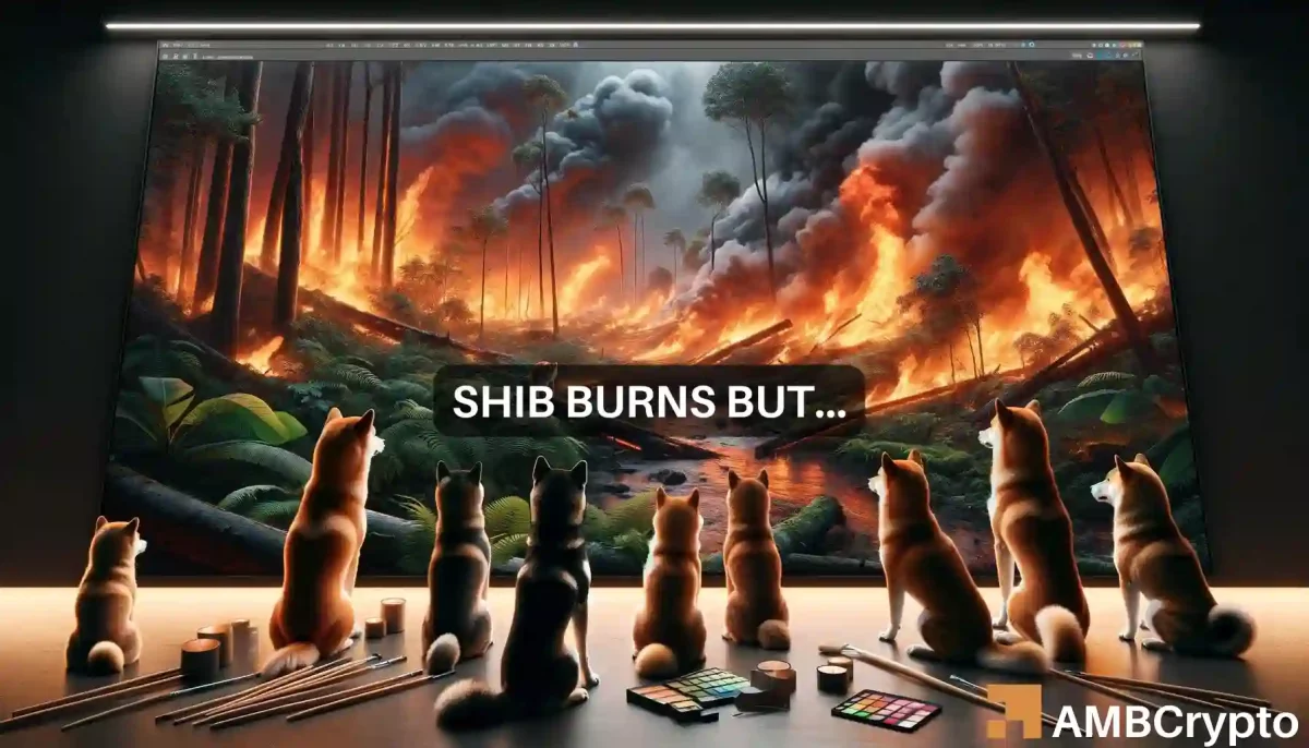 Shiba Inu burns 798M tokens - Now, what should you expect from SHIB?