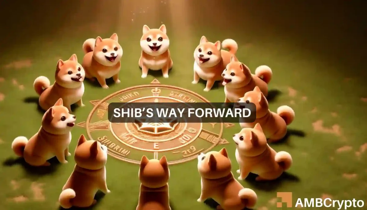 Shiba Inu gets Shibarium boost