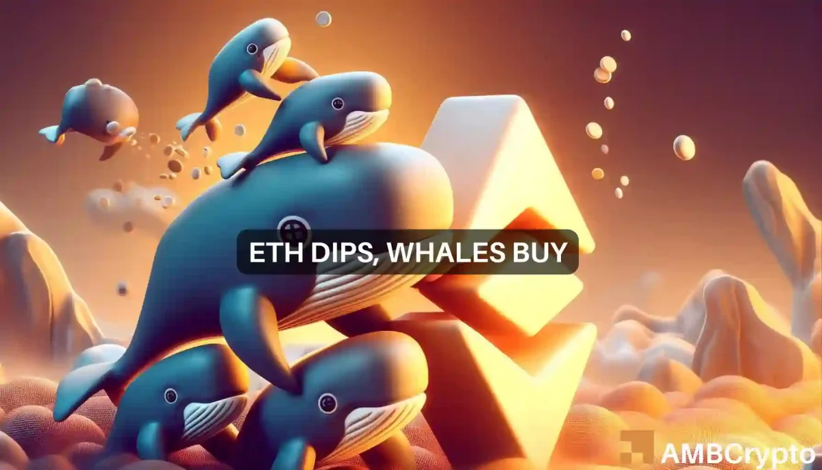 Whales buy ETH Dip