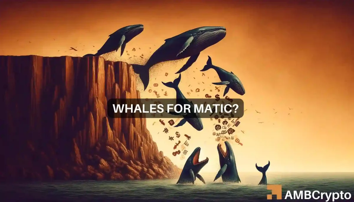 Whales buy MATIC's dip