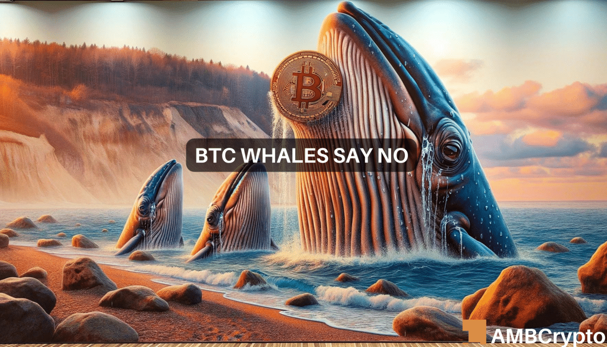 Whale Watch - Here's what Bitcoin's big players are doing this week