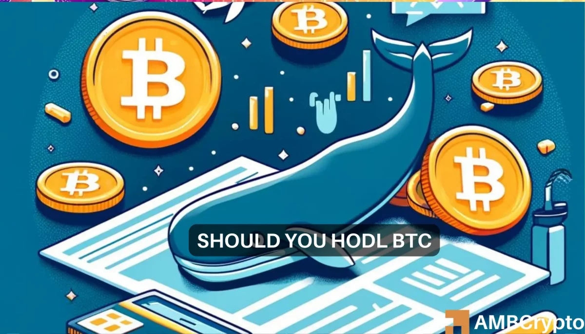 Bitcoin whales