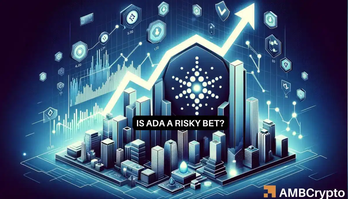 Cardano activity