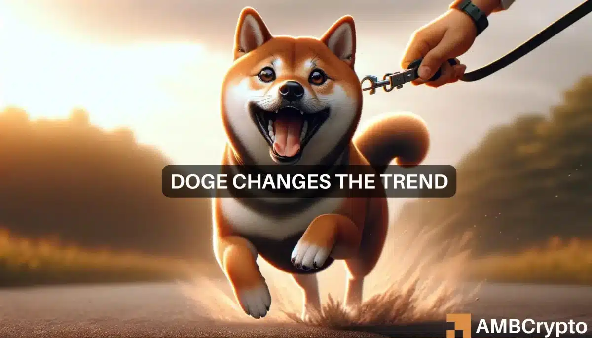 Dogecoin's 15% rise in 7 days means THIS for your DOGE holdings