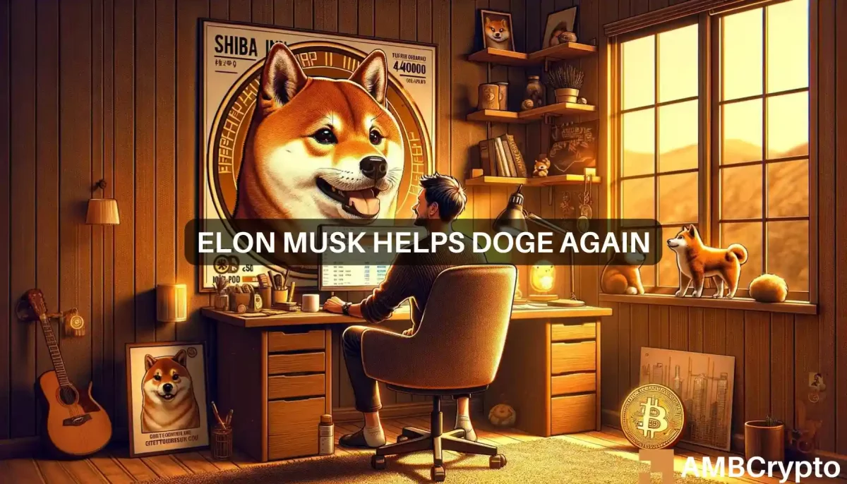 Elon Musk helps DOGE again