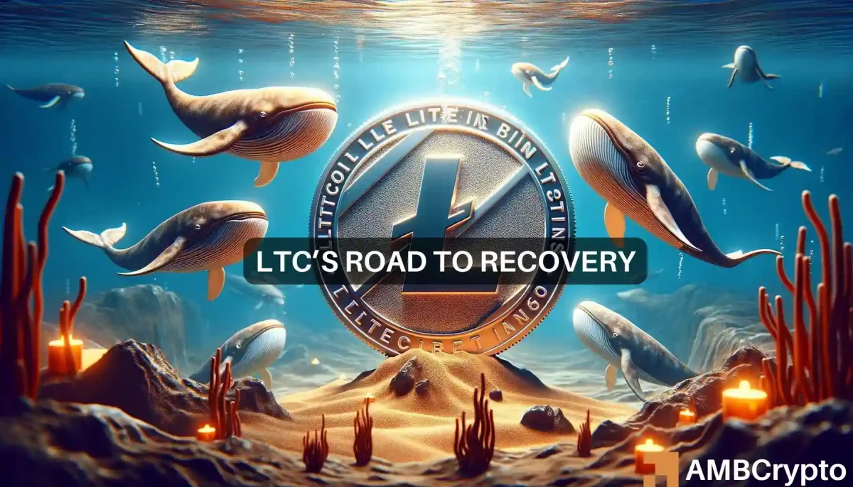 Litecoin's 18% plunge attracts whales - Better things coming?