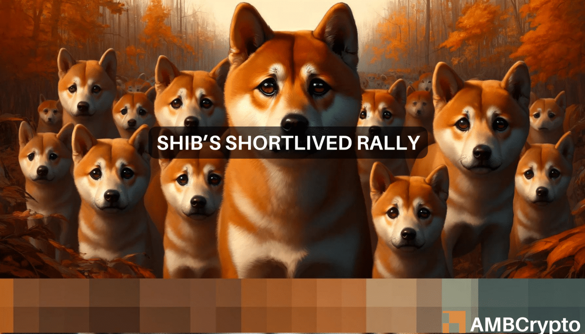 Is Shiba Inu's 10% rise going to last? What the signs say