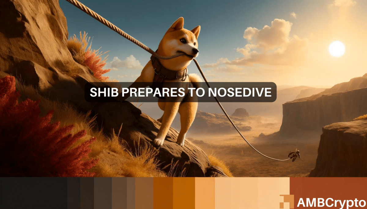 Shiba Inu's big test: Can SHIB stay above $0.00002?