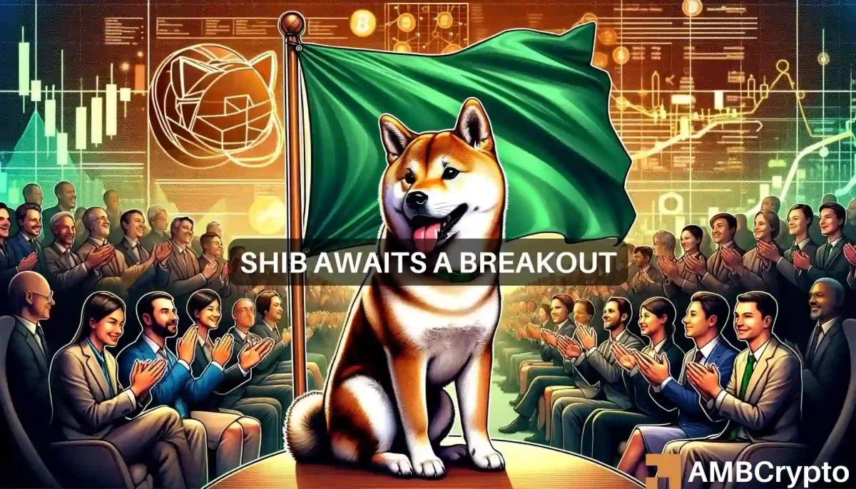 Shiba Inu rises 10% in 7 days: Will SHIB surge to $0.00003 soon?