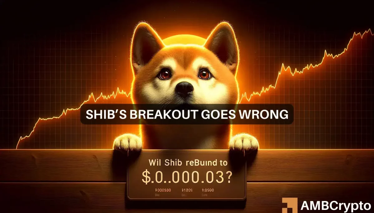 Shiba Inu's price back to its March highs? Here are the steps...