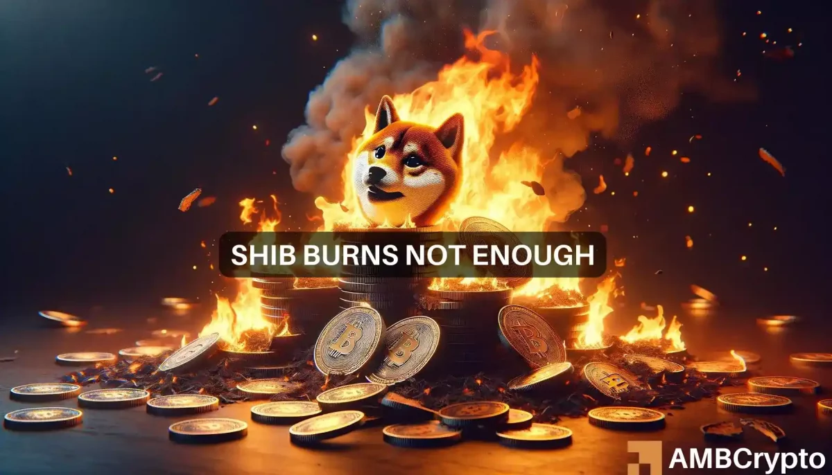 Shiba Inu burns over 1.6 Billion tokens: market impact analyzed