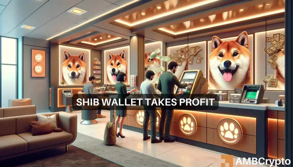 Shiba Inu whale moves 48B tokens: Was SHIB impacted?