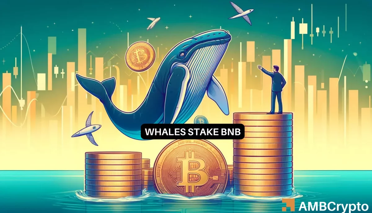 Whales stake more BNB despite THIS major concern: What's cooking?