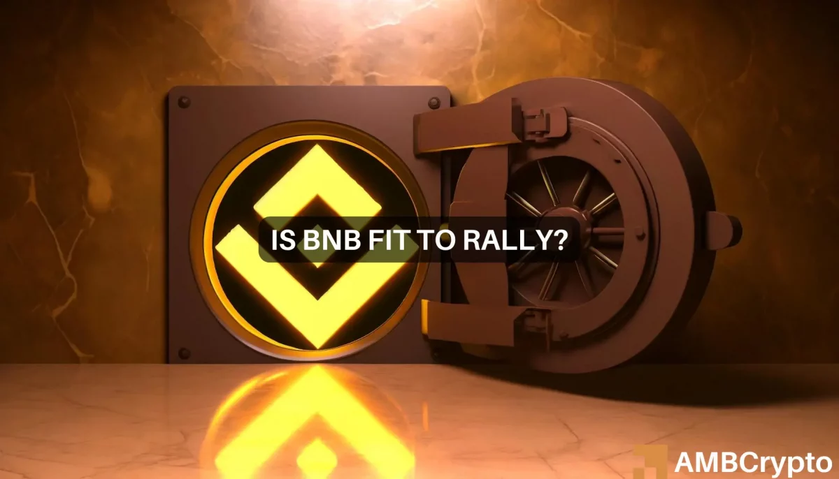 BNB Chain DEX volume surges - Examining what it means for BNB's price