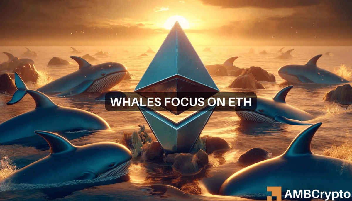 Why Ethereum's whale holdings increased 27% in 14 months