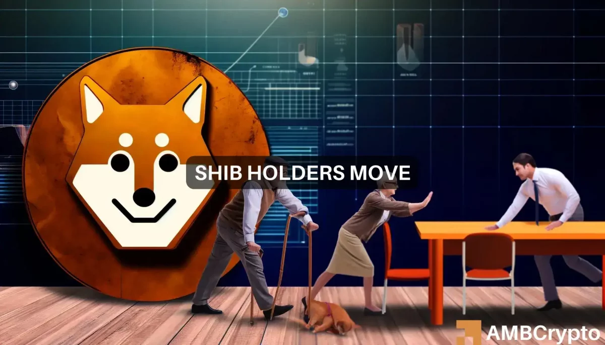 Shiba Inu's unusual moves: Will SHIB lose another 20%?