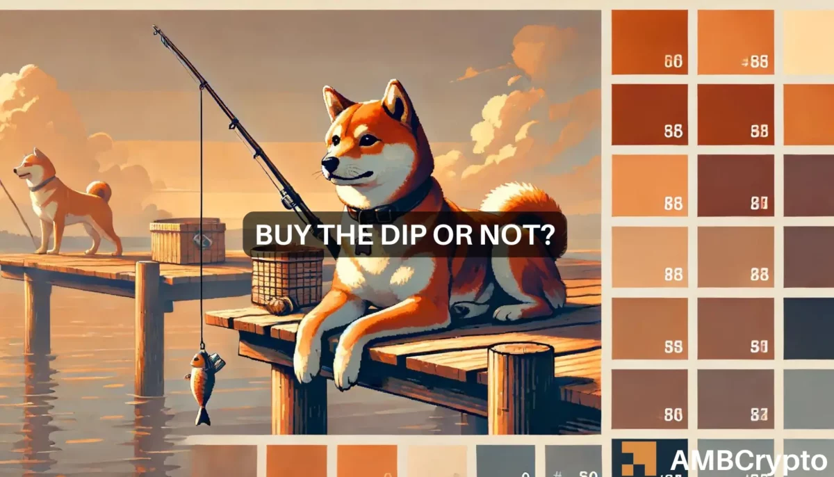 BONK - Should you wait to buy the dip? Memecoin's price will...