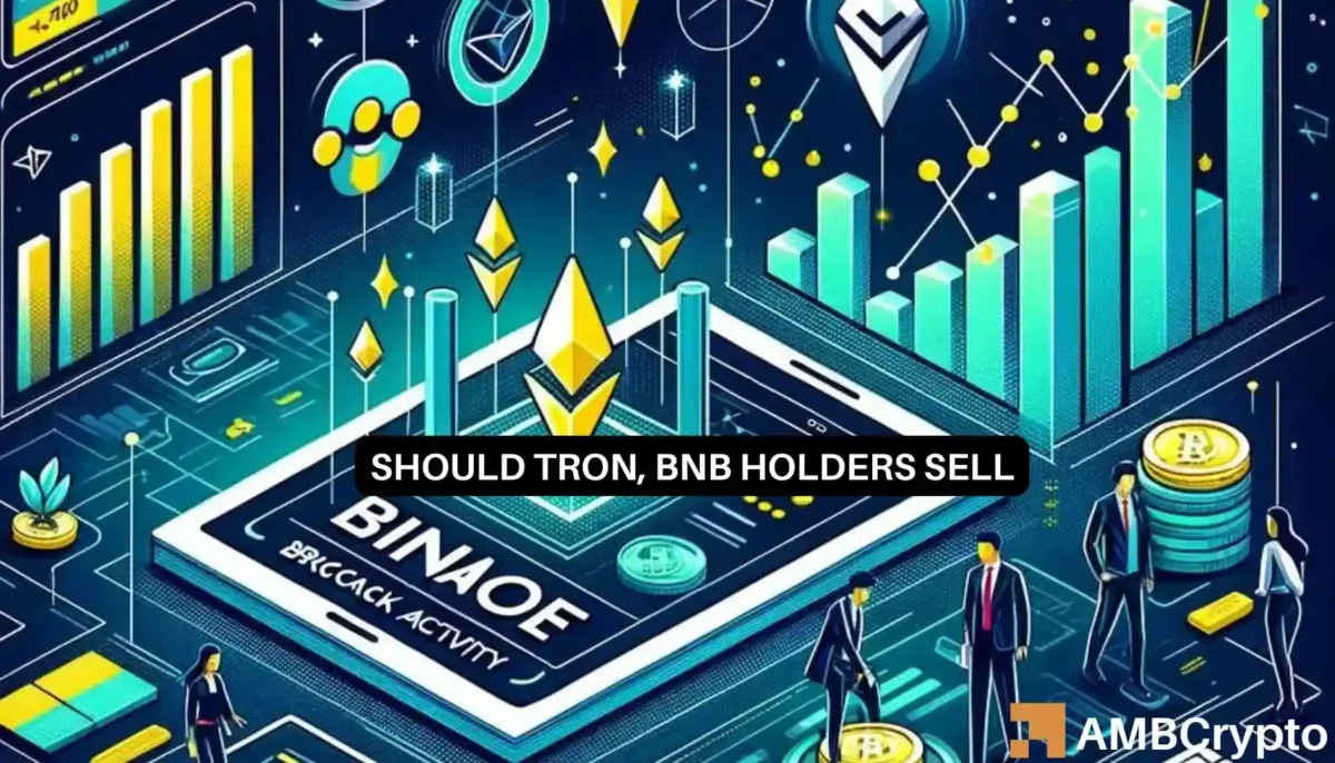 BNB TRON activity