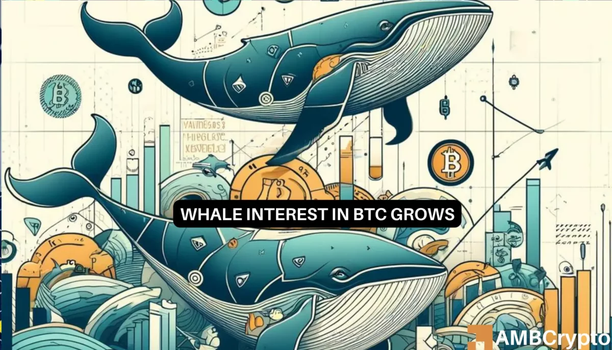 BTC whale