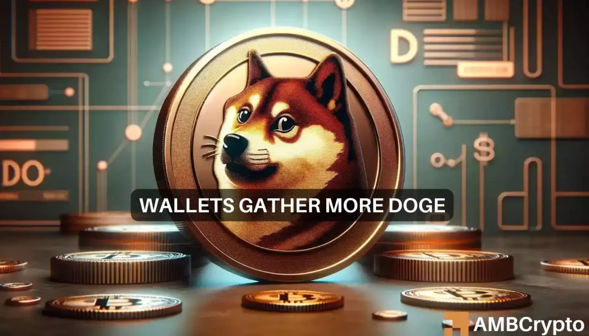 Dogecoin whales buy up more amid price declines