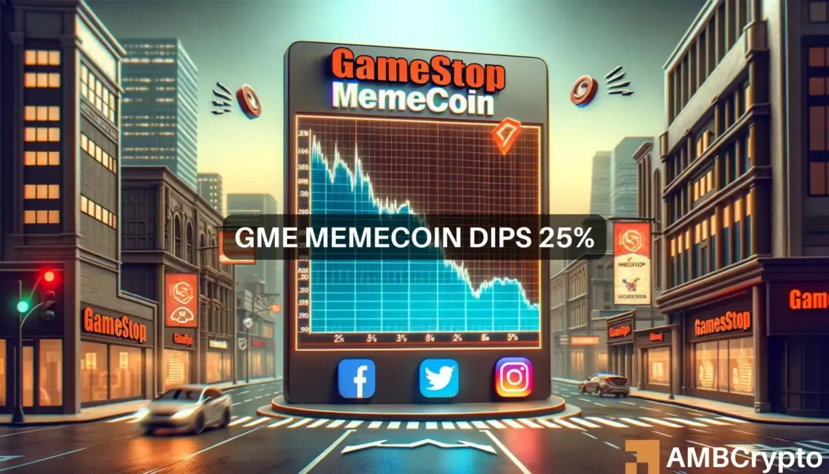 GME memecoin dips 25%