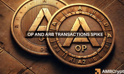 2024, mixed bag for Arbitrum and Optimism - Why?