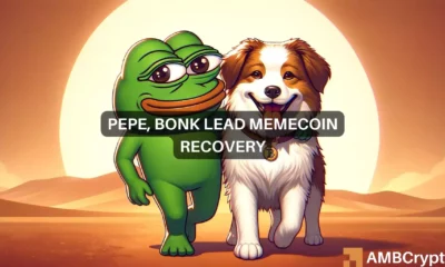 Amidst market slide, Pepe and Bonk rally to lead Memecoin comeback