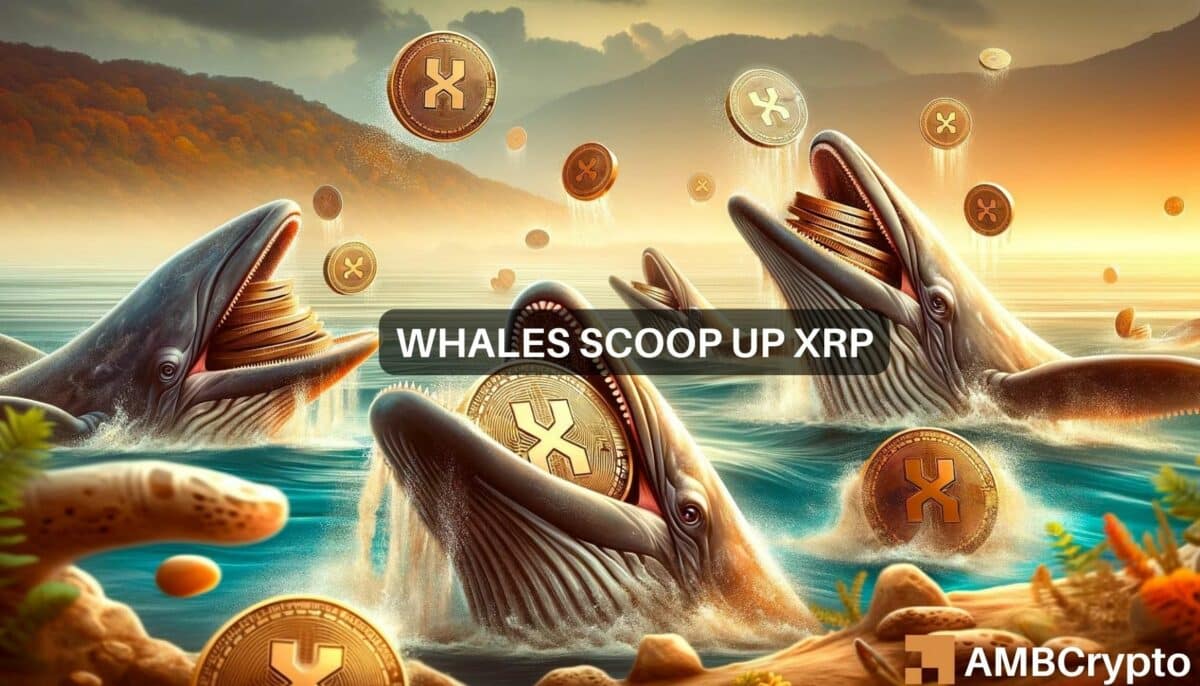 XRP