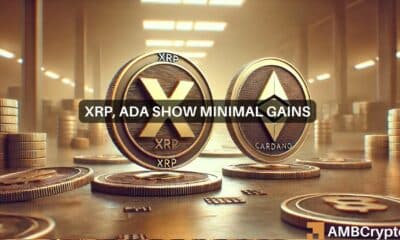 Cardano XRP
