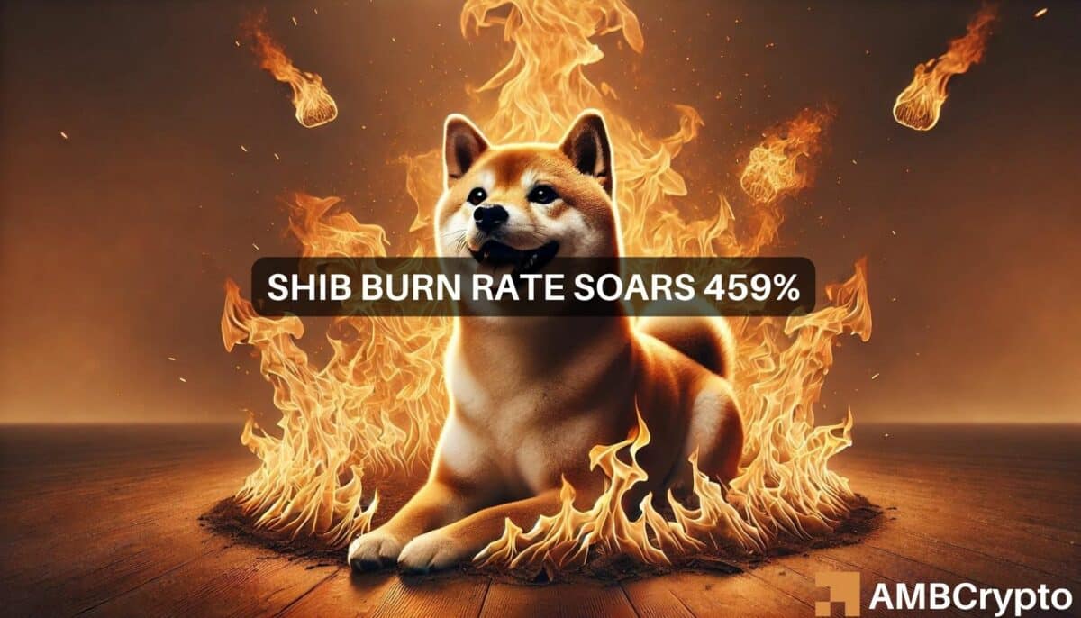 Shiba Inu