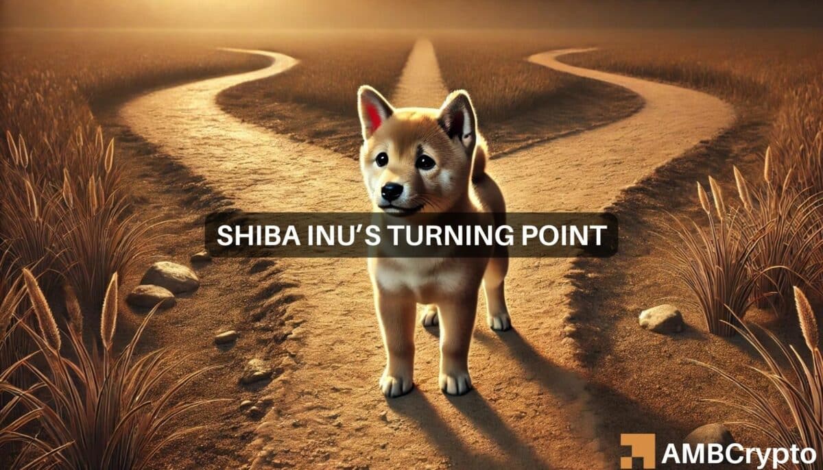 Shiba Inu