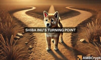 Shiba Inu