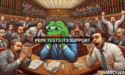 PEPE Tests its Support