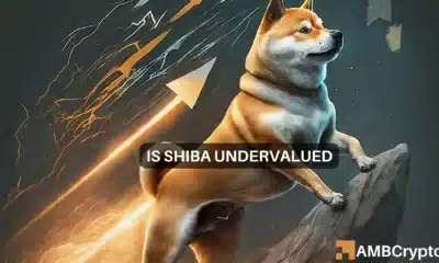 Shiba Inu's price - Undervalued or not depends on THIS factor