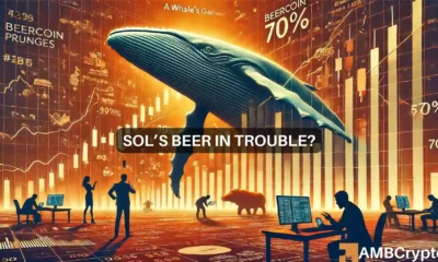 SOL's BEER in Trouble?