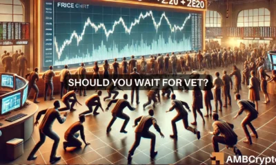 VeChain - Assessing whether a key buying opportunity is on for VET holders