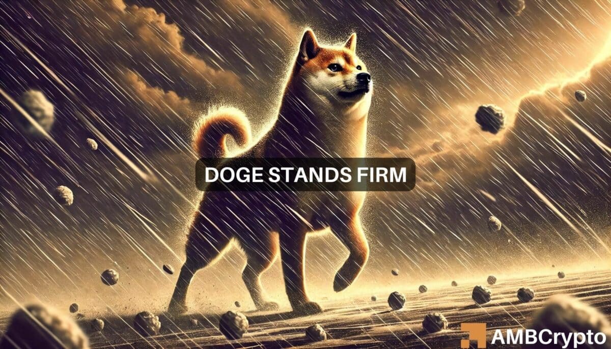 Dogecoin remains strong despite massive liquidation: Here's why