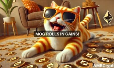 Ethereum's MOG rises 100%, flips BOME: Are the memecoin tides turning?