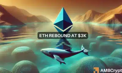 Whale Accumulation Fails to Reverse the Ethereum Bearish Trend