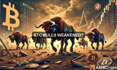 Is Bitcoin's bull run over? What historical trends tell us