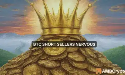 Bitcoin bears