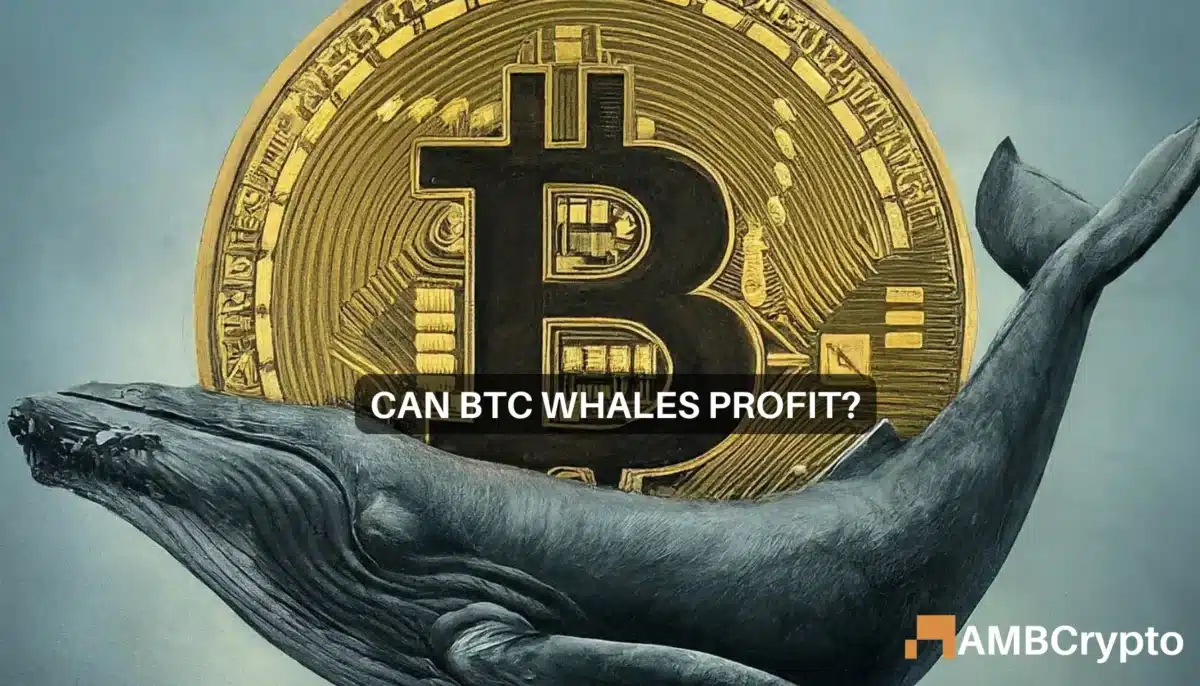 Bitcoin whales 'buy the dip' to leave retail investors...