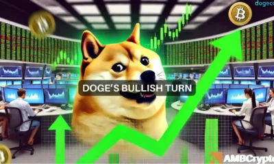 Dogecoin's bullish turn