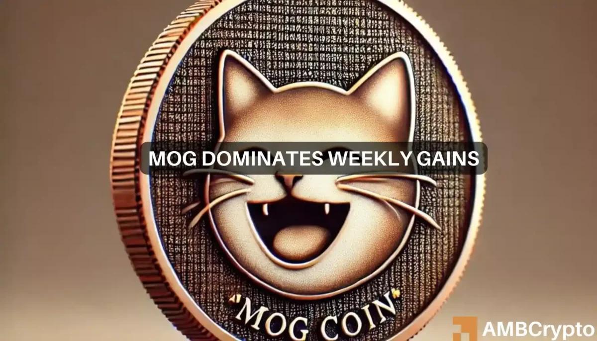 Mog coin smashes 100% gains in 7 days: Will MOG's bull run continue?