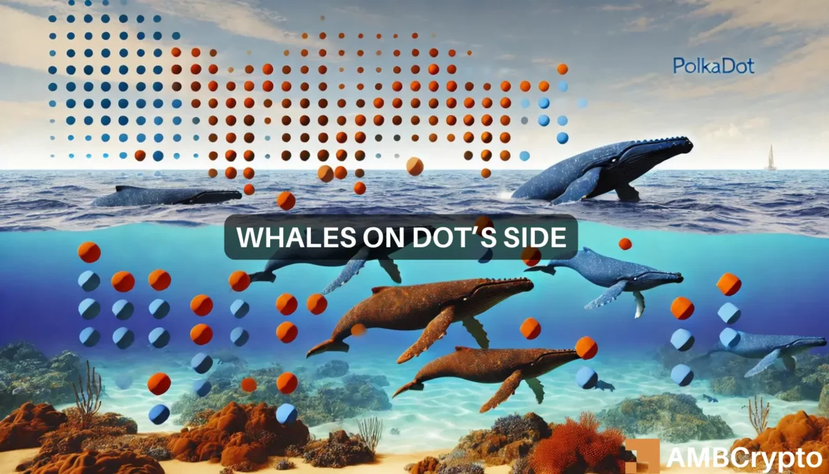 How and why DOT's whales dictated altcoin's 9% price hike