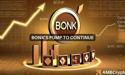 BONK news